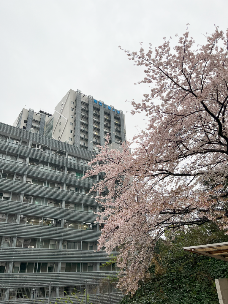 学外研鑽と進路選択
