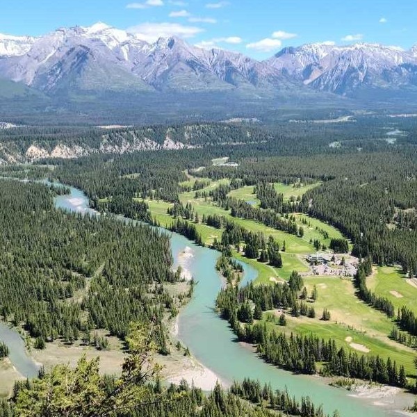 国際シンポジウムに参加して：カナダ・バンフでの学び