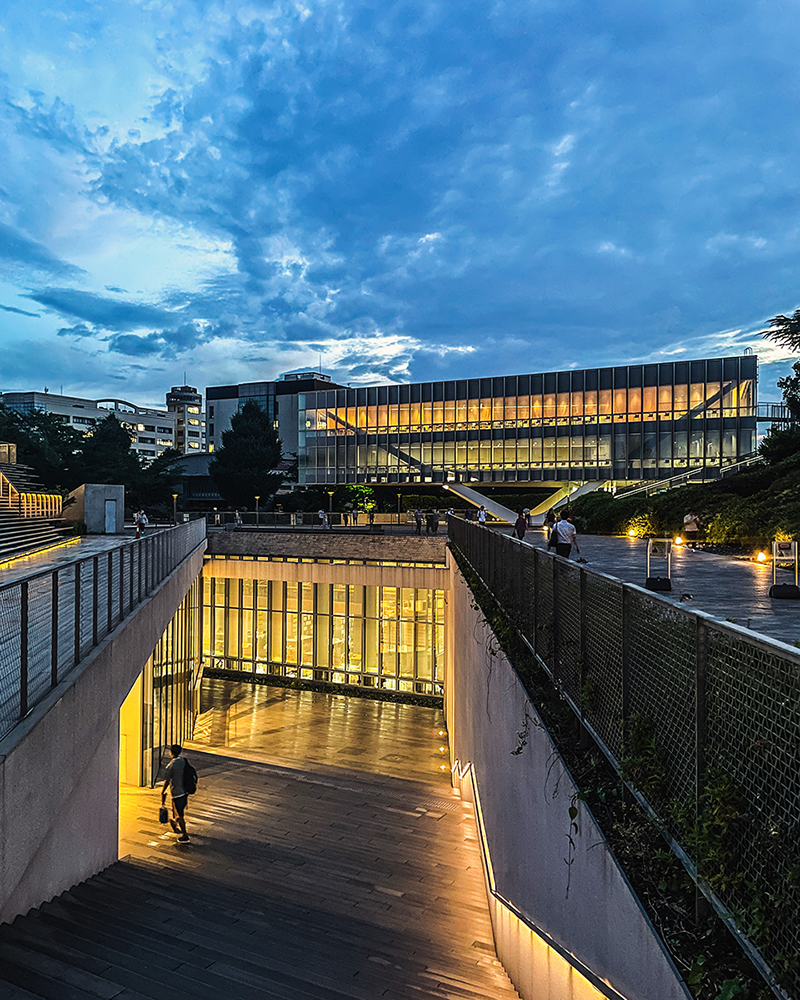 Complexity and Contradiction of Doctoral Research in Architecture