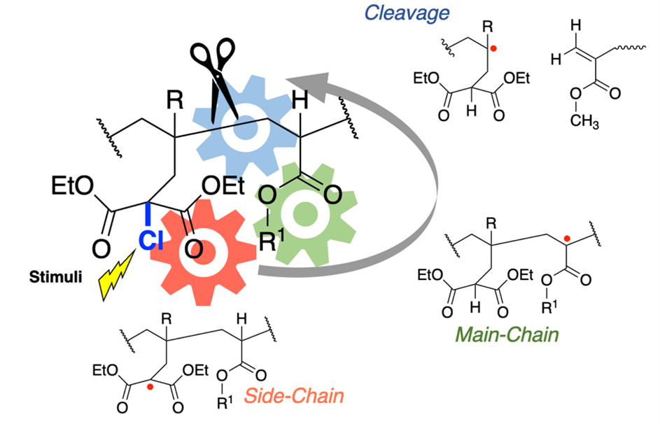 国際学会参加-ワシントンD.C.滞在記