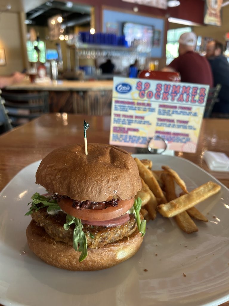 留学までの流れと学外研鑽の感想